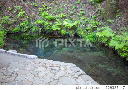 Fresh green man pond 129327447