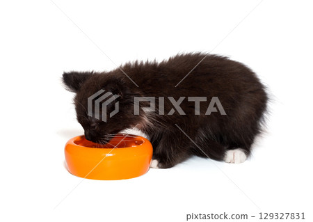 Small kitten eats from an orange bowl 129327831