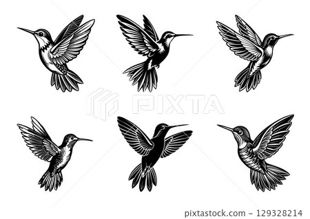 Set of white dove vector silhouette birds on white background, Black hummingbird Bird Wing 129328214