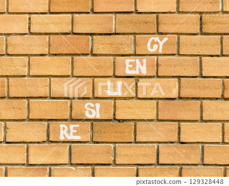 Resiliency symbol. Concept word Resiliency on beautiful brown bricks. Beautiful brown brick wall background. Business resiliency concept. Copy space. Resiliency symbol. Concept word Resiliency on beautiful brown bricks. Beautiful brown brick wall background. Business resiliency concept. Copy space. 129328448
