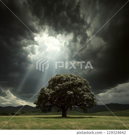 A solitary tree stands in a field under dramatic storm clouds with beams of light shining through. Concept of nature's beauty and power. For background on resilience. 129328642