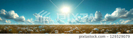 Field of daisies under a bright sun and blue sky with fluffy clouds. Concept of nature, tranquility, and summer. For backgrounds or nature themes. 129329079