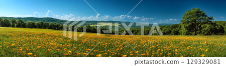 Field of yellow wildflowers under a clear blue sky with distant hills visible. Concept of serene nature and open landscapes. For landscape photography. Field of yellow wildflowers under a clear blue sky with distant hills visible. Concept of serene nature and open landscapes. For landscape photography. 129329081