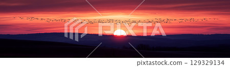 Birds flying across a vibrant sunset above dark rolling hills. Concept of nature's beauty and serenity. For wall art. 129329134
