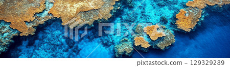 Colorful coral reefs below the ocean surface, surrounded by vibrant blue water. Concept of marine beauty and biodiversity. For eco-tourism promotion. 129329289