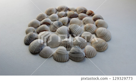 Circle made of half sea shells isolated on white angle view 129329773