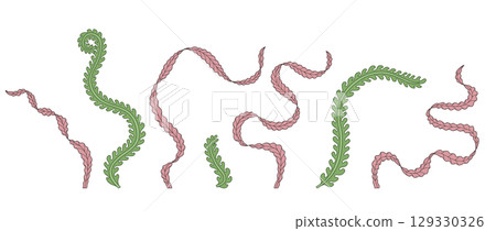 Elegant curvy Art nouveau style green and pink seaweed hand drawn monochrome vector illustration set Elegant curvy Art nouveau style green and pink seaweed hand drawn monochrome vector illustration set 129330326