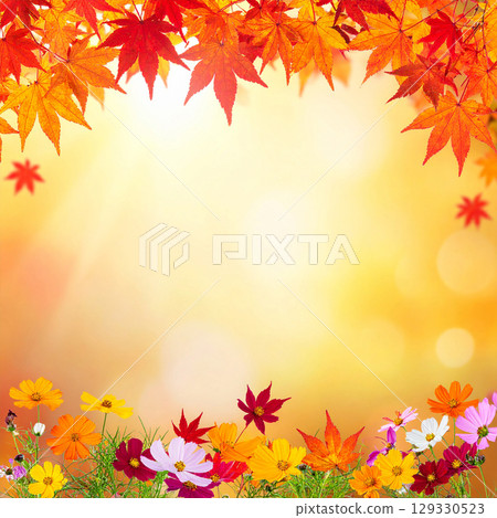 秋葉和秋花環繞的背景框 129330523