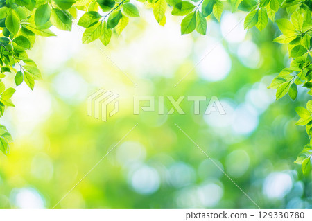 新鮮的綠色季節 新鮮的綠色季節 129330780