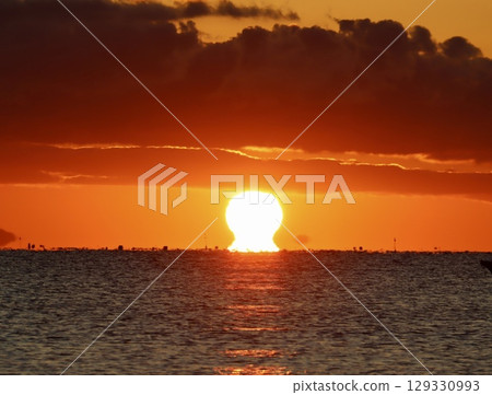 Daruma Asahi 129330993