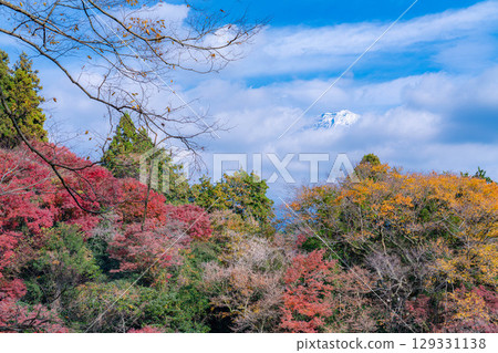 [紅葉] 秋季富士宮市白絲瀑布與雲層中隱現的富士山 [靜岡縣] 129331138