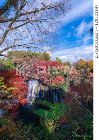 [Autumn foliage] Shiraito Falls in Fujinomiya City in autumn and Mount Fuji peeking through the clouds [Shizuoka Prefecture] 129331147