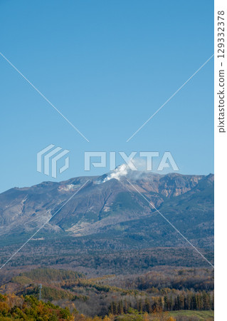 Yellow-leafed forest and volcanic peak on a clear autumn day, Mt. Tokachi 129332378