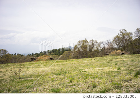 Pit dwellings at the Umenoki ruins in Hokuto City, Yamanashi Prefecture 129333003