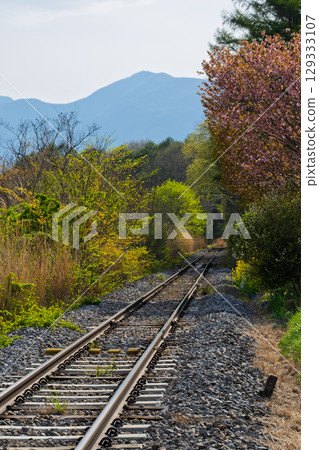 當地的火車軌道,春天的景色 當地的火車軌道,春天的景色 129333107