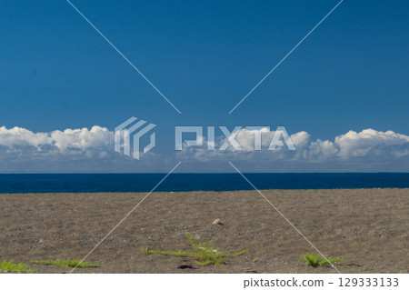 南紀地質公園志原海岸 129333133