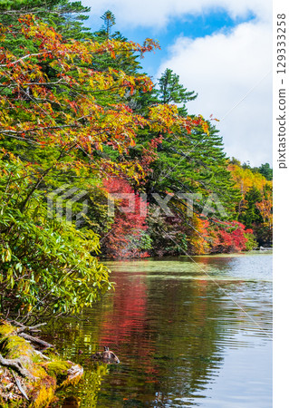 Shirakoma pond in autumn Shirakoma pond in autumn 129333258