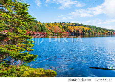 秋天的白駒池 129333278