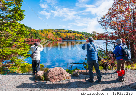 Shirakoma pond in autumn 129333286