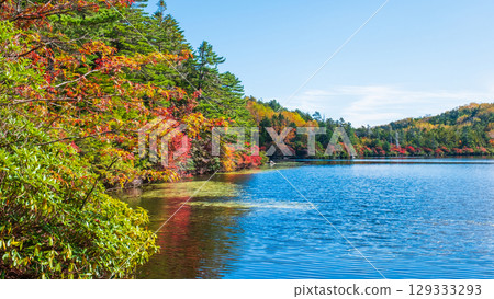 秋天的白駒池 129333293