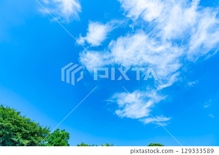 Blue sky, clouds and grove Blue sky, clouds and grove 129333589