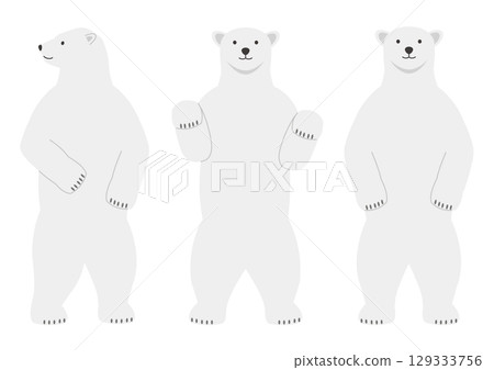 A set of illustrations of a polar bear standing up facing forward 129333756