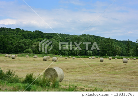 Cotton rolls Cotton rolls 129333763