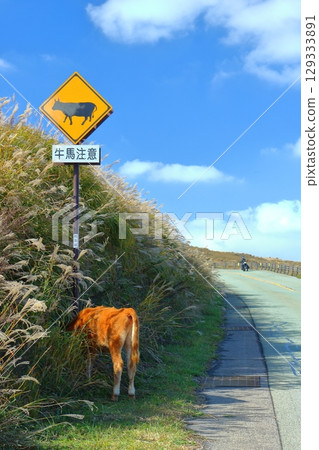 警告牛馬的標誌,上面畫著一頭紅牛和一輛摩托車(阿蘇山) 警告牛馬的標誌,上面畫著一頭紅牛和一輛摩托車(阿蘇山) 129333891