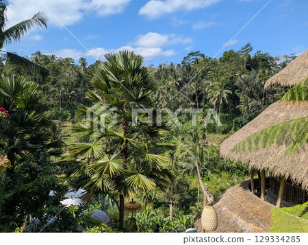 Tegallalang Rice Terrace, a tourist attraction in Ubud, Bali Tegallalang Rice Terrace, a tourist attraction in Ubud, Bali 129334285