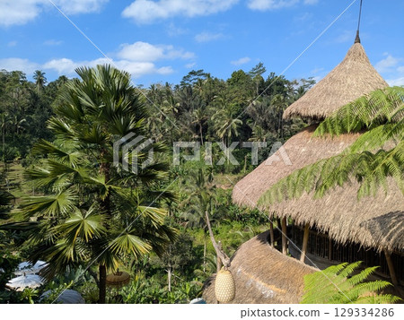 Tegallalang Rice Terrace, a tourist attraction in Ubud, Bali 129334286