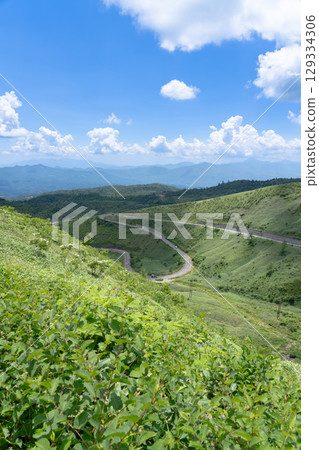 從淺間白根志賀清涼大道眺望的新綠高原 從淺間白根志賀清涼大道眺望的新綠高原 129334306