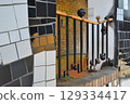 Hundertwasser's Fence 129334417