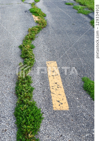 grass growing through cracked asphalt road 129334918