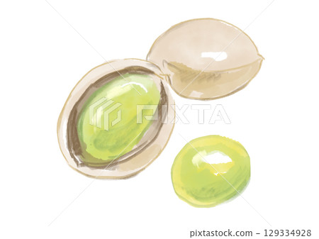 A hand-drawn watercolor illustration of freshly picked and delicious autumn ginkgo nuts 129334928