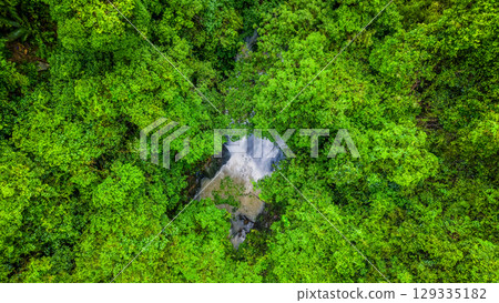 Lush Green Rainforest with Hidden Waterfall in Scenic Landscape Lush Green Rainforest with Hidden Waterfall in Scenic Landscape 129335182
