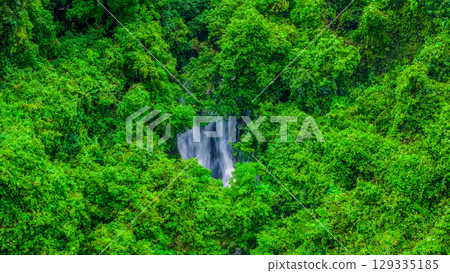 Lush Green Rainforest with Hidden Waterfall in Scenic Landscape 129335185