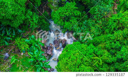 Lush Green Rainforest with Hidden Waterfall in Scenic Landscape Lush Green Rainforest with Hidden Waterfall in Scenic Landscape 129335187