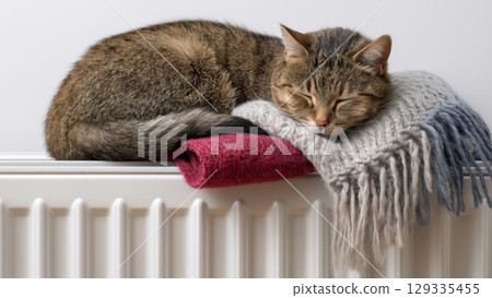 Cat sleeps warm on radiator blankets, created with AI 129335455