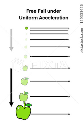 illustration of physics, Earth's gravity, free fall of an apple under constant acceleration, Each position illustrates increasing distance over equal time intervals, visualizing the equation 129335626