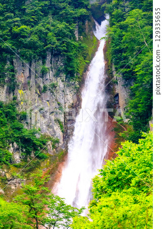 [北海道_上川_層雲峽] 夏日銀河與流星瀑布 七月 129335655