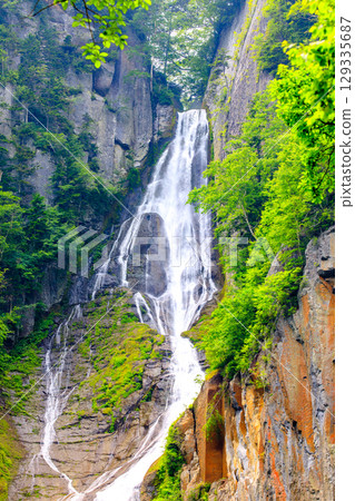 [北海道_上川_層雲峽] 夏日銀河與流星瀑布 七月 129335687