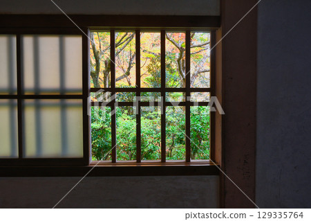 Beautiful autumn leaves at Sanzen-in Temple in Ohara (Sakyo Ward, Kyoto City, Kyoto Prefecture) 129335764
