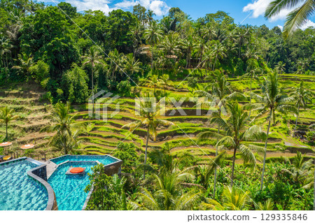 Tegallalang rice terraces in Bali 129335846