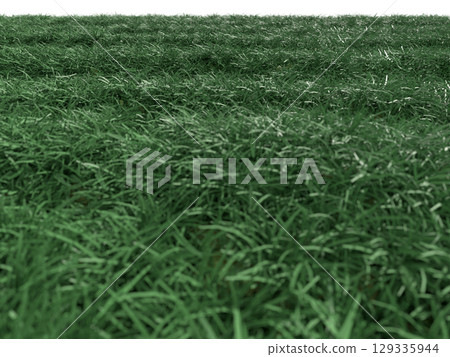 藍天和草原風景 129335944