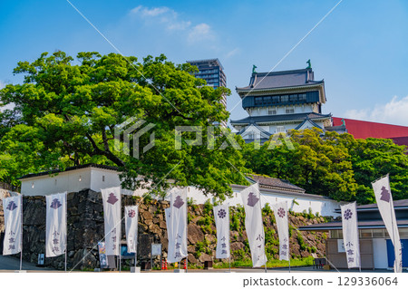 [Kitakyushu City, Fukuoka Prefecture] Kokura Castle under clear skies 129336064