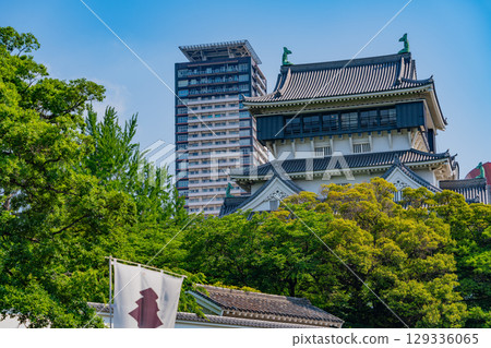 [Kitakyushu City, Fukuoka Prefecture] Kokura Castle under clear skies 129336065