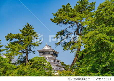 [Kitakyushu City, Fukuoka Prefecture] Kokura Castle under clear skies 129336074