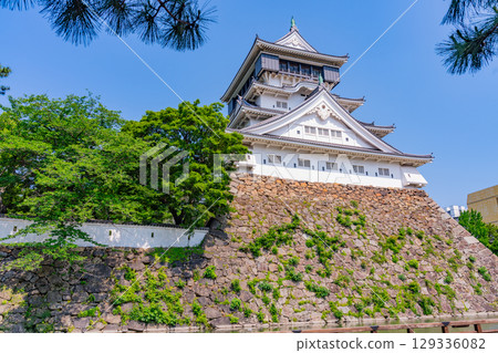 [Kitakyushu City, Fukuoka Prefecture] Kokura Castle under clear skies 129336082