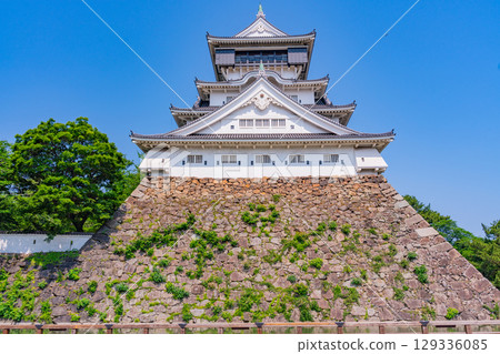 [Kitakyushu City, Fukuoka Prefecture] Kokura Castle under clear skies 129336085