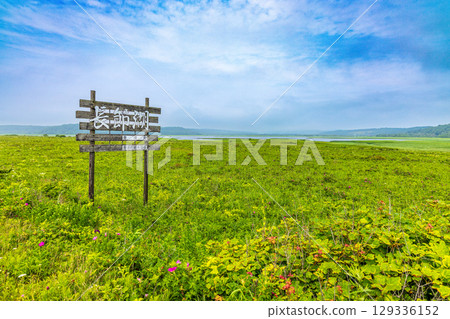 Lake Chobushi (Hokkaido, July) 129336152